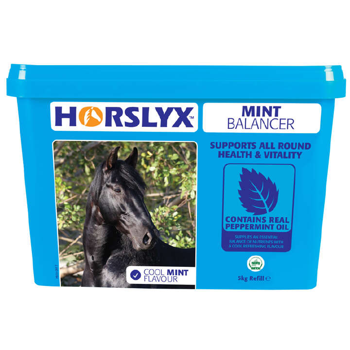 HORSLYX Mint
